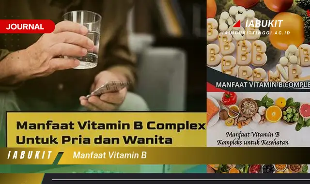 Temukan Jurnal Manfaat Vitamin B Yang Jarang Diketahui