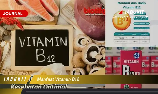 manfaat vitamin b12