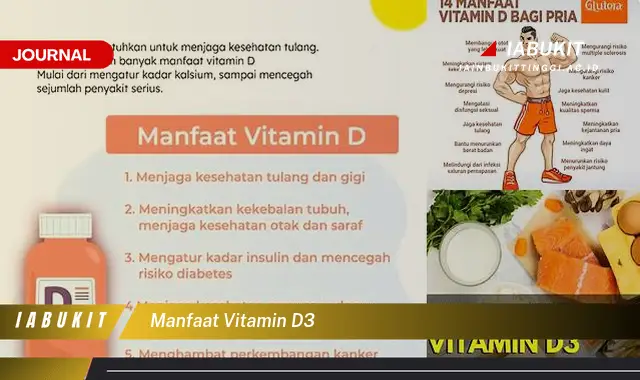 manfaat vitamin d3