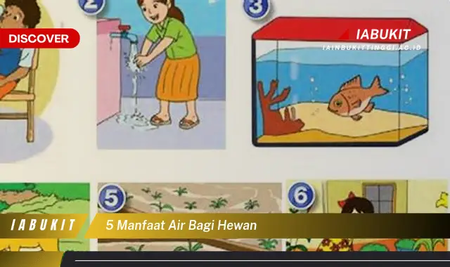 5 manfaat air bagi hewan