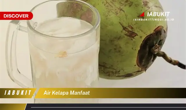 air kelapa manfaat