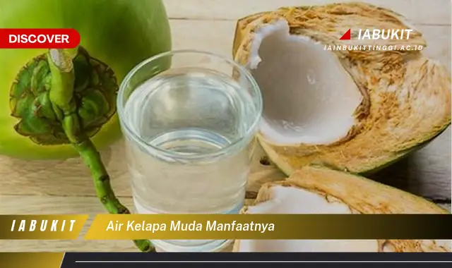 air kelapa muda manfaatnya