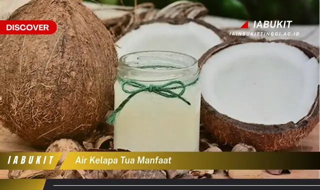 air kelapa tua manfaat