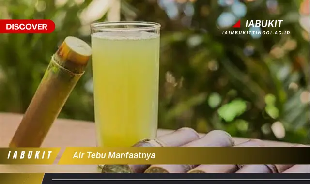 air tebu manfaatnya