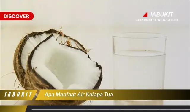 apa manfaat air kelapa tua