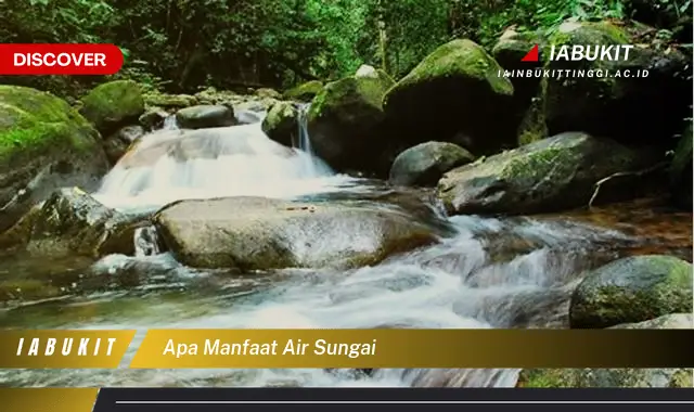 apa manfaat air sungai