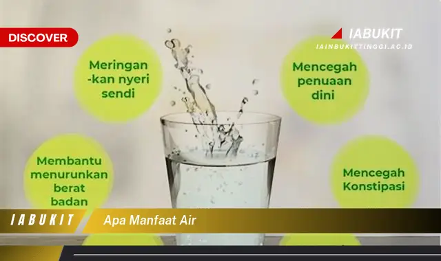 apa manfaat air