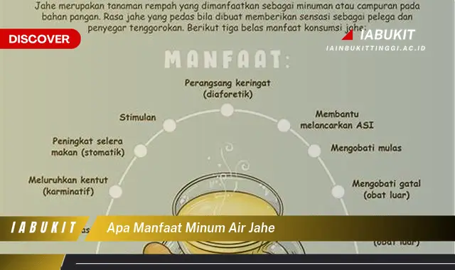 apa manfaat minum air jahe