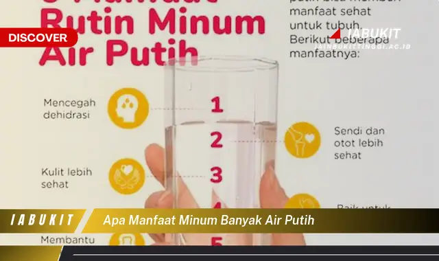 apa manfaat minum banyak air putih