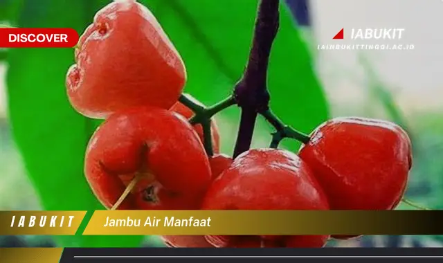 jambu air manfaat