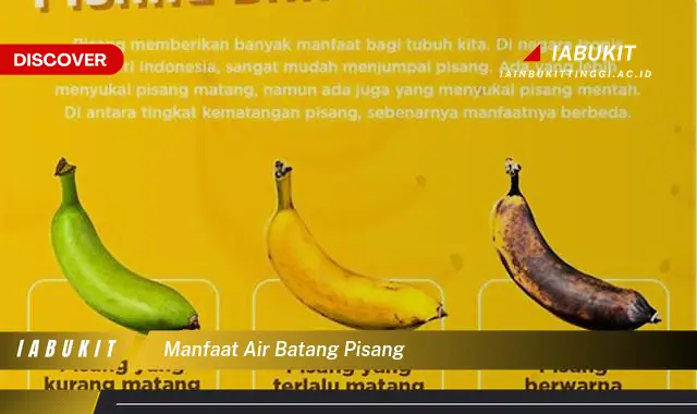 manfaat air batang pisang