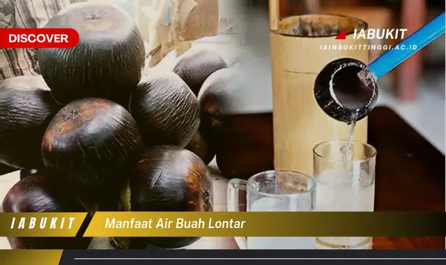 manfaat air buah lontar manfaat air buah lontar