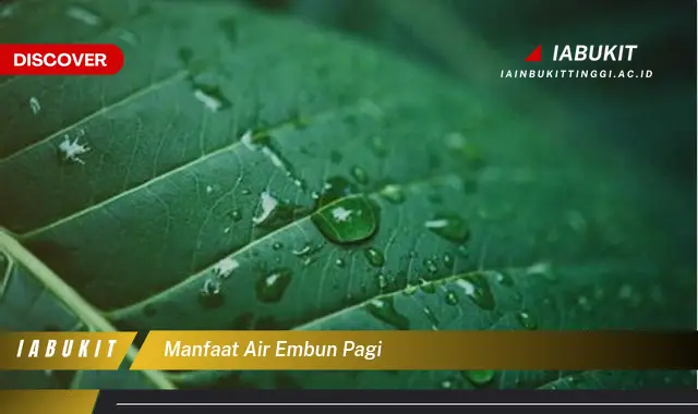 manfaat air embun pagi