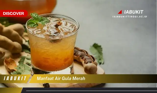 manfaat air gula merah