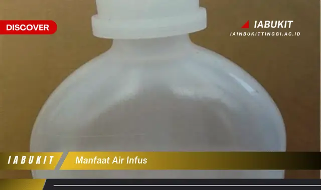 manfaat air infus