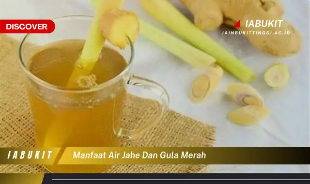 manfaat air jahe dan gula merah