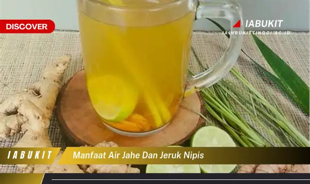 manfaat air jahe dan jeruk nipis