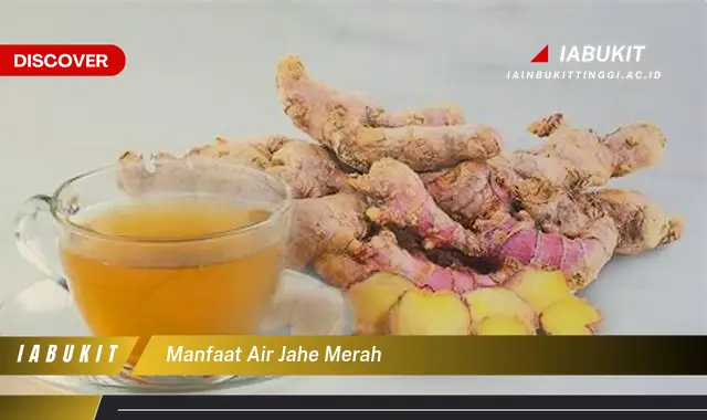 manfaat air jahe merah