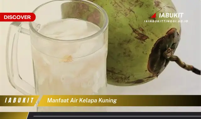 manfaat air kelapa kuning