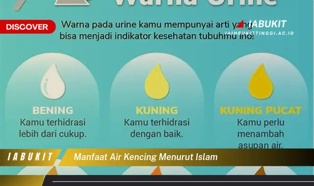 manfaat air kencing menurut islam