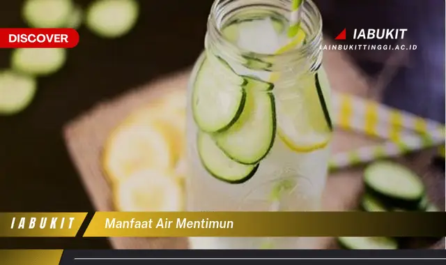 manfaat air mentimun