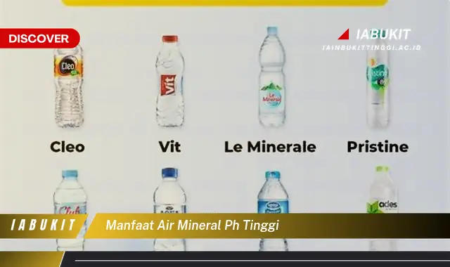 manfaat air mineral ph tinggi