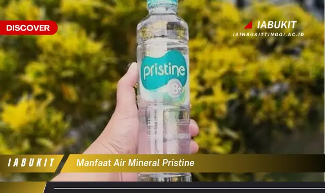 manfaat air mineral pristine