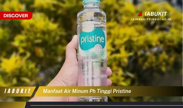 manfaat air minum ph tinggi pristine