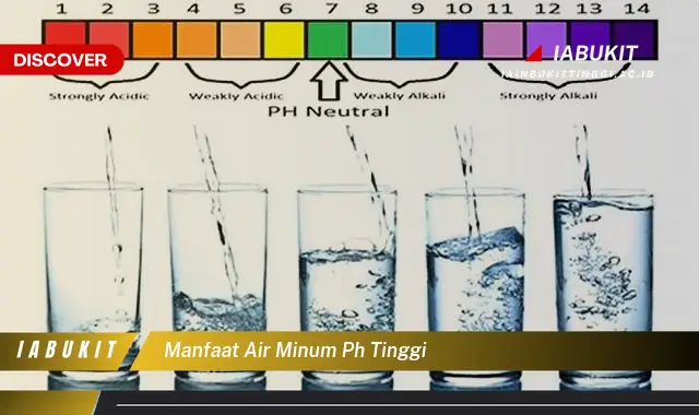 manfaat air minum ph tinggi