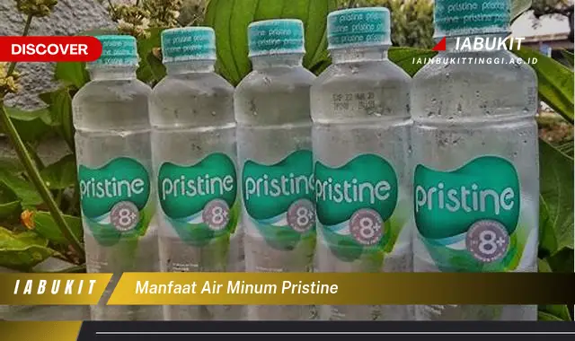 manfaat air minum pristine