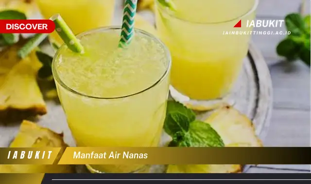 manfaat air nanas