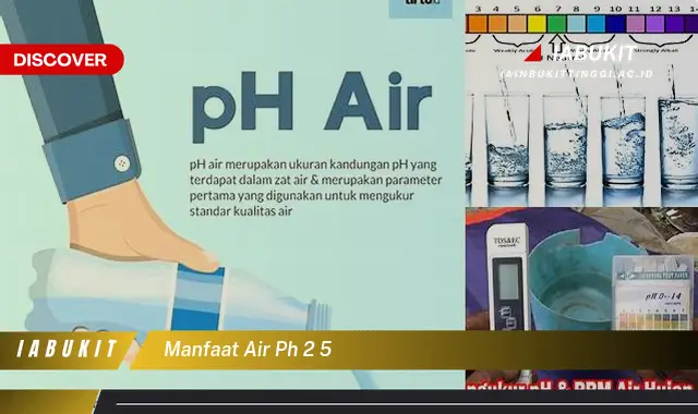 Temukan Manfaat Air pH 2,5 yang Bikin Kamu Penasaran!