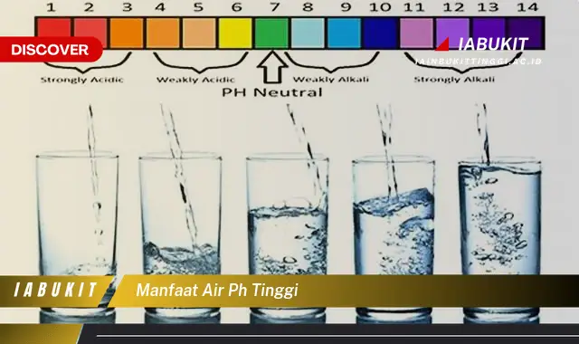 manfaat air ph tinggi