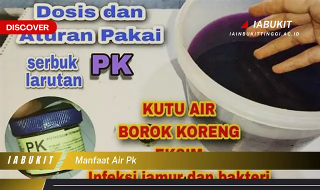 Temukan 7 Manfaat Air PK yang Jarang Diketahui Bikin Kamu Penasaran