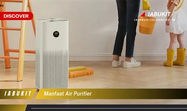 manfaat air purifier