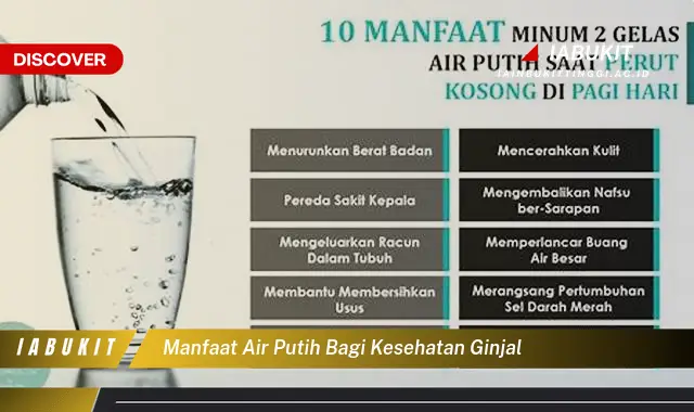 manfaat air putih bagi kesehatan ginjal