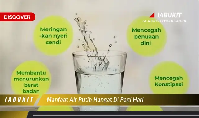 manfaat air putih hangat di pagi hari