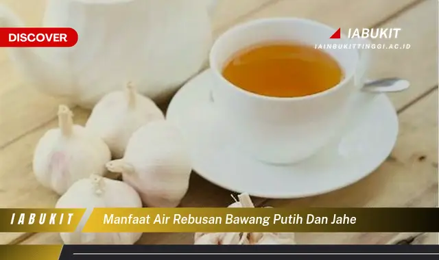 manfaat air rebusan bawang putih dan jahe