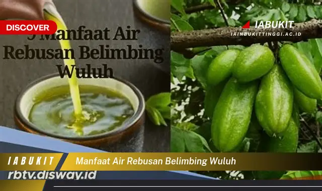 manfaat air rebusan belimbing wuluh