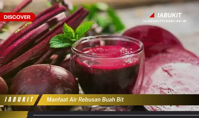 manfaat air rebusan buah bit