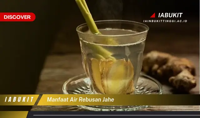 manfaat air rebusan jahe