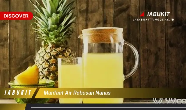 manfaat air rebusan nanas manfaat air rebusan nanas
