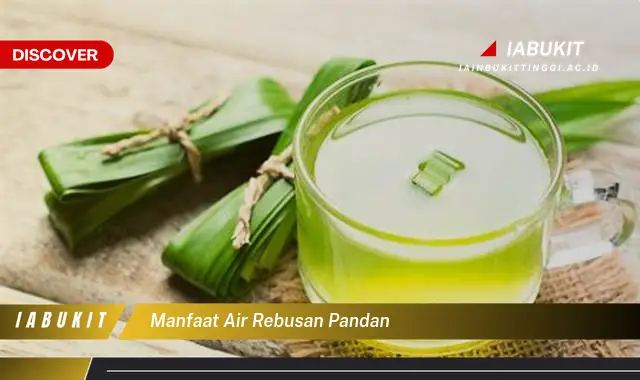 manfaat air rebusan pandan