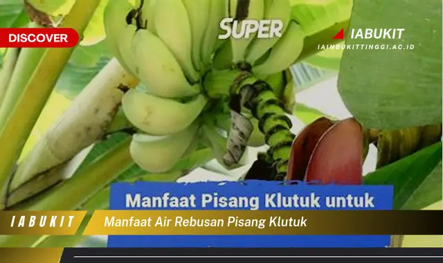 manfaat air rebusan pisang klutuk