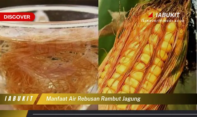 manfaat air rebusan rambut jagung