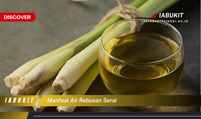 manfaat air rebusan serai