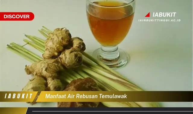 manfaat air rebusan temulawak