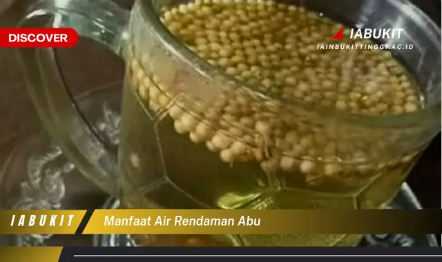 manfaat air rendaman abu