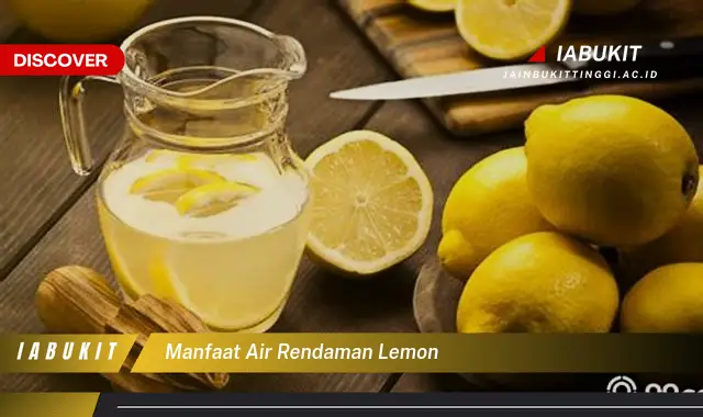 manfaat air rendaman lemon