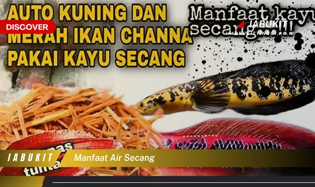 manfaat air secang